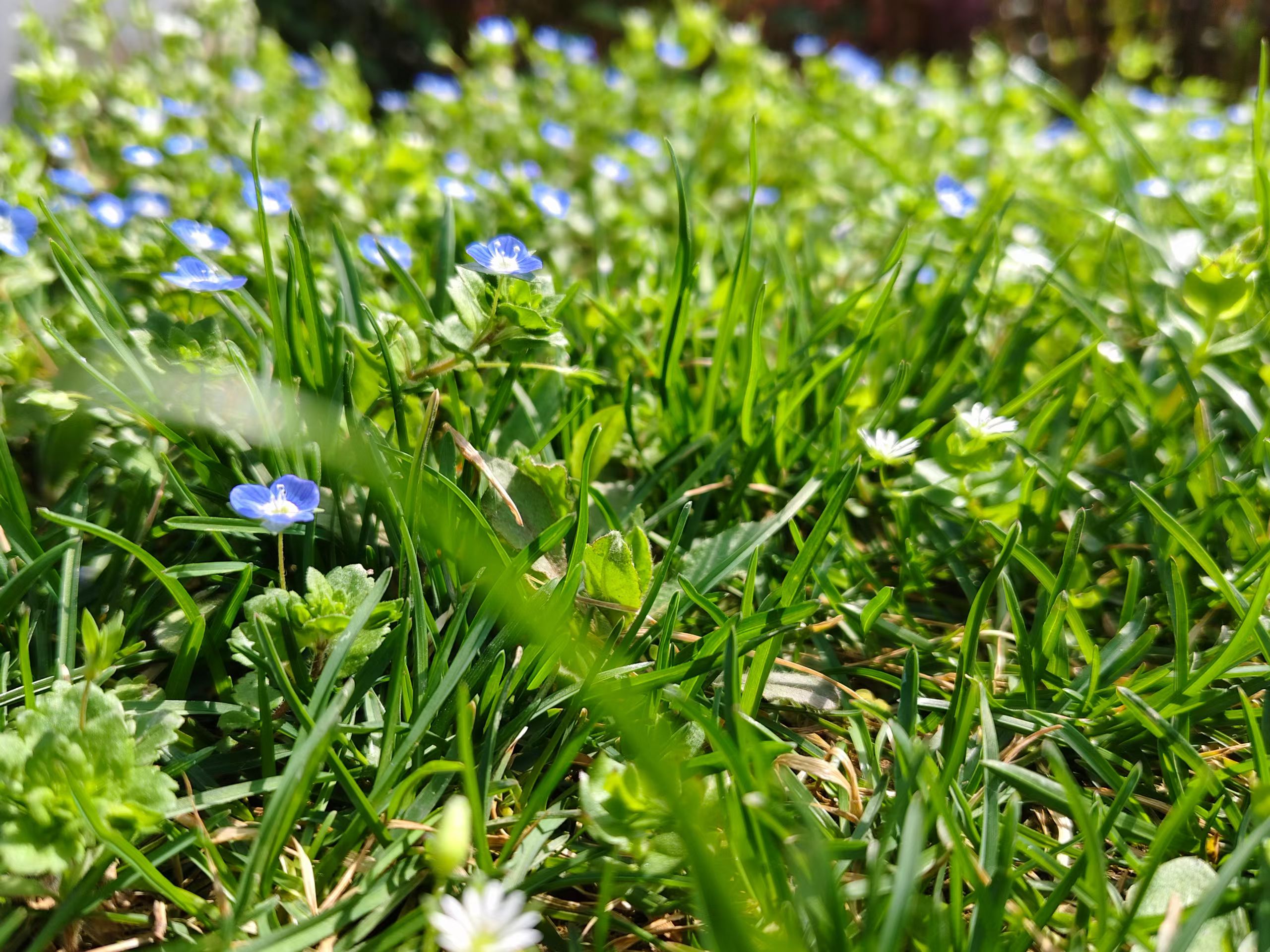 风景